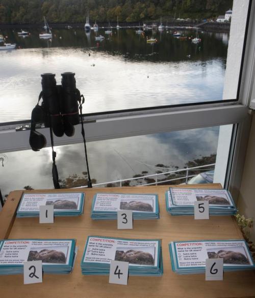 competition1 Sorting the competition entries