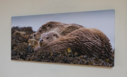 Competition prize picture Competition prize picture