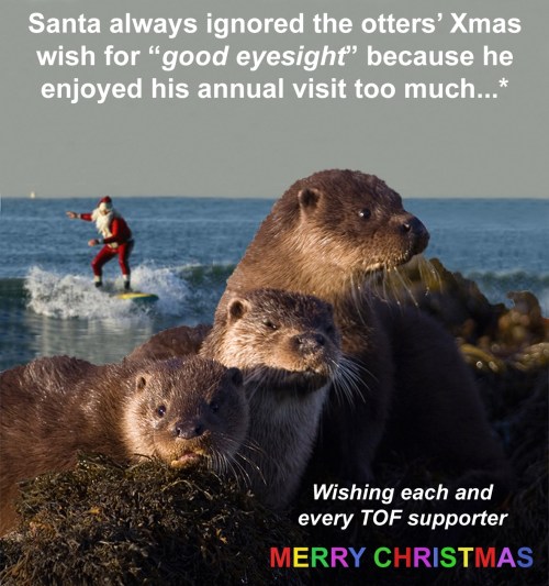 TOF Xmas 2014 card MASTER FINAL crop